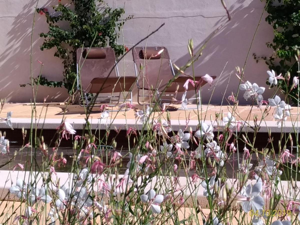 Idayvuelta & With Private Pool Ses Salines (Mallorca)